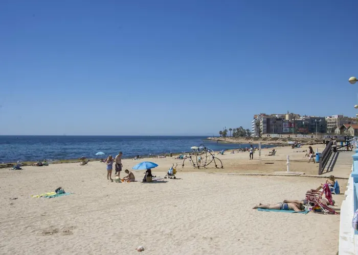 Alegria Ed. Orbiplaya *