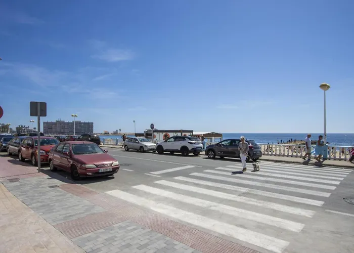 Alegria Ed. Orbiplaya Torrevieja
