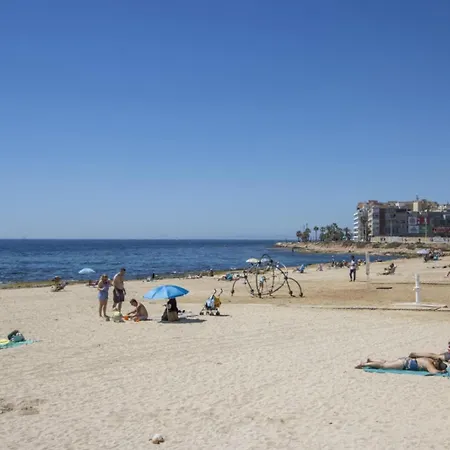 Alegria Ed. Orbiplaya *