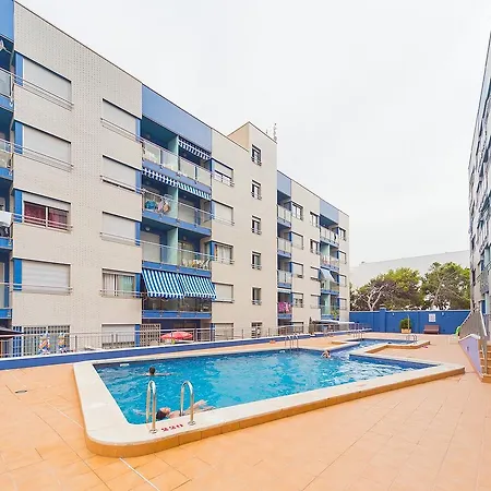 Alegria Ed. Orbiplaya *